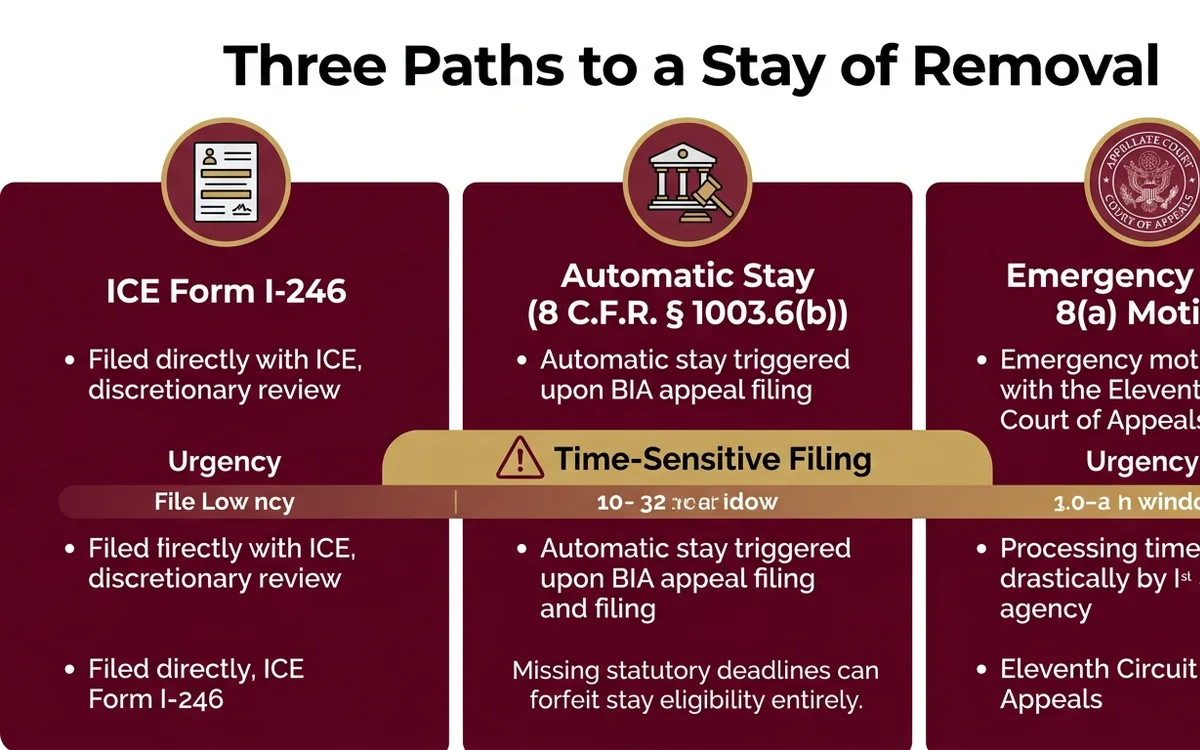 stay of removal attorney — infographic