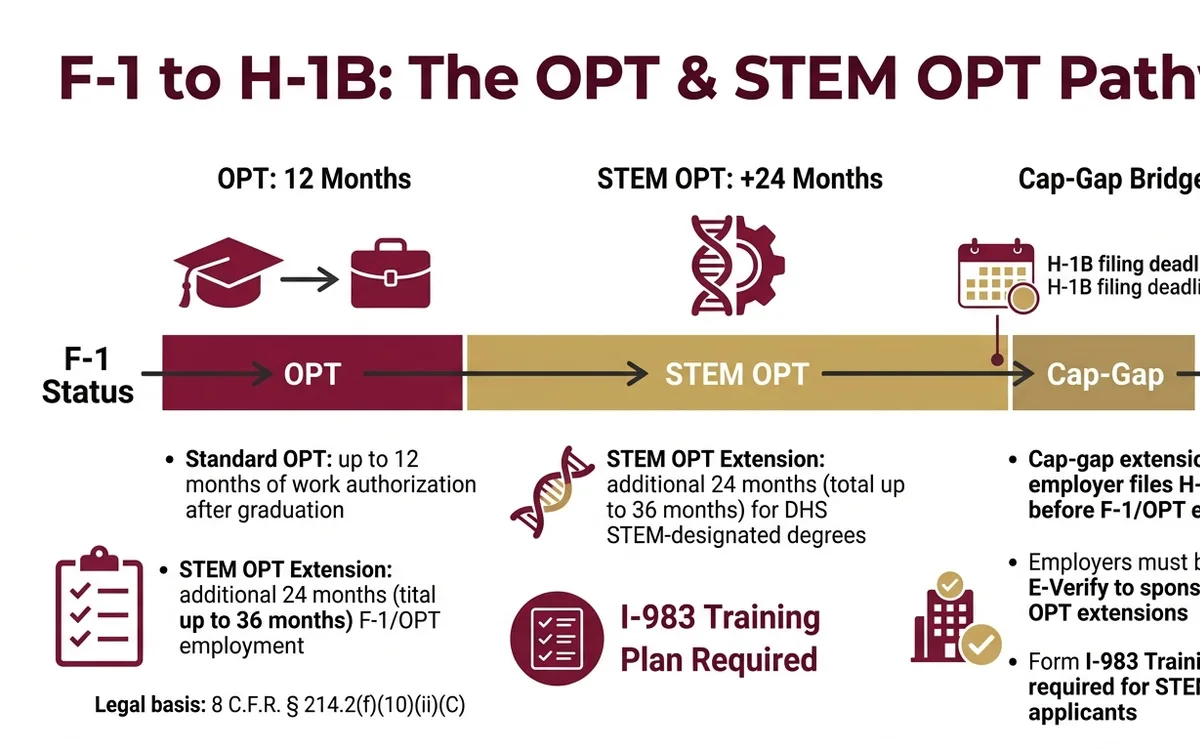 F-1 student visa and OPT attorney — infographic