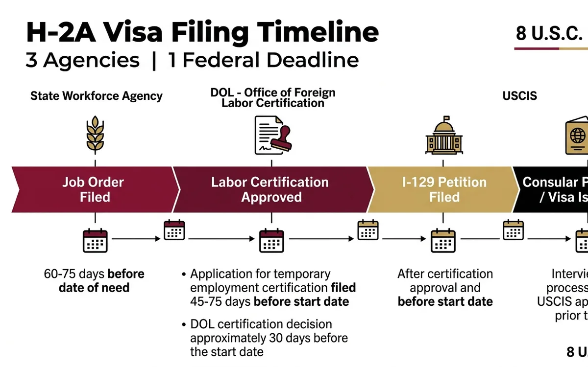 H-2A agricultural visa attorney — infographic
