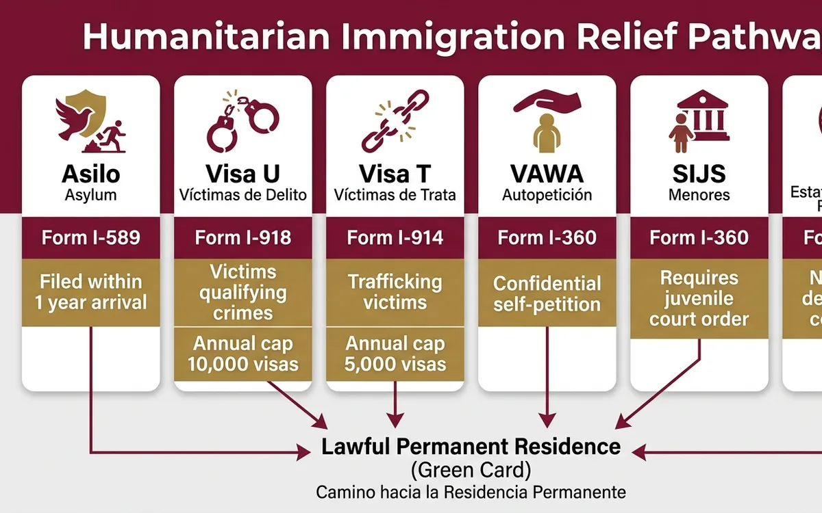 humanitarian immigration relief attorney — infographic