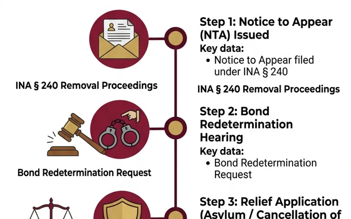 deportation defense attorney New York — infographic