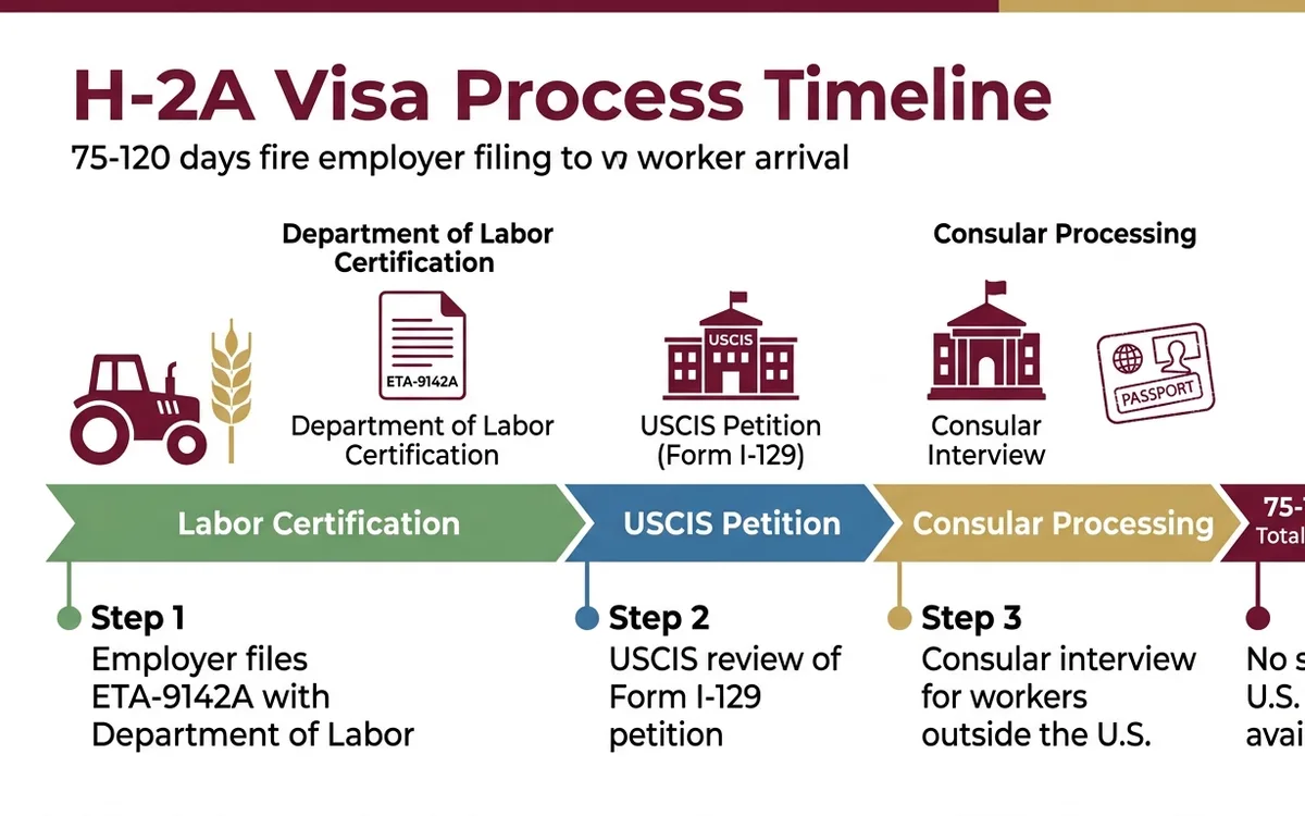 H-2A agricultural visa attorney — infographic
