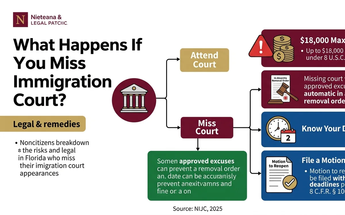 Afraid to Go to Immigration Court? Your Rights in Florida — infographic