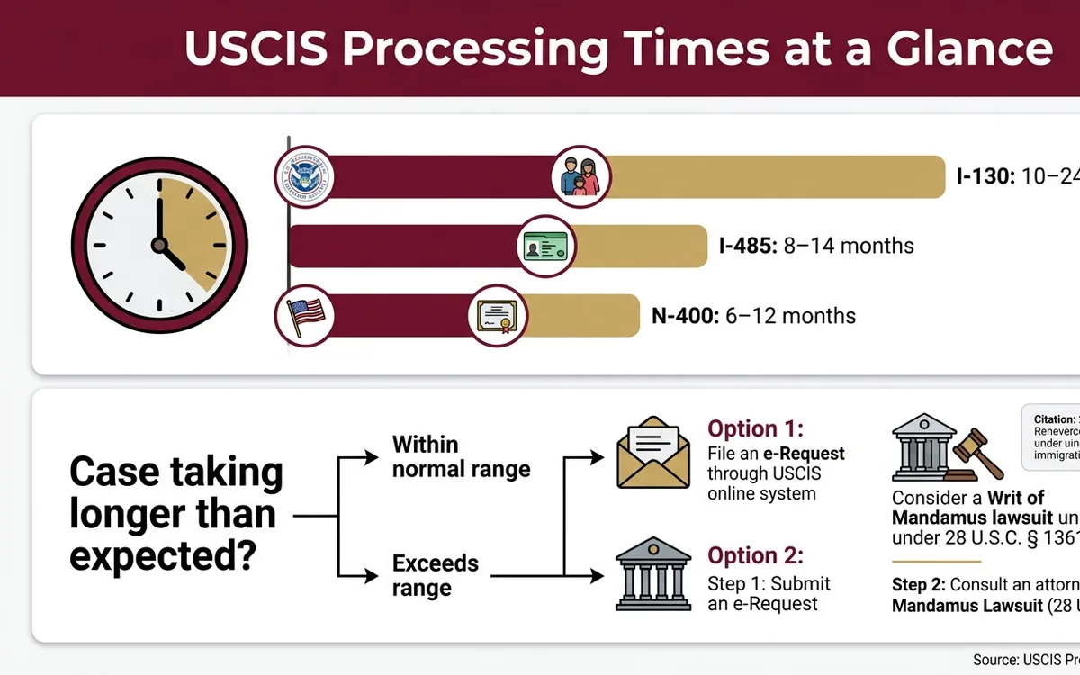 tiempo de procesamiento uscis — infographic
