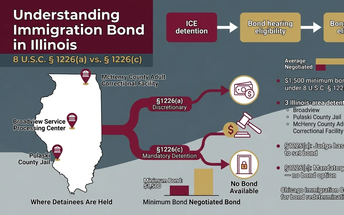 immigration bond lawyer Illinois — infographic