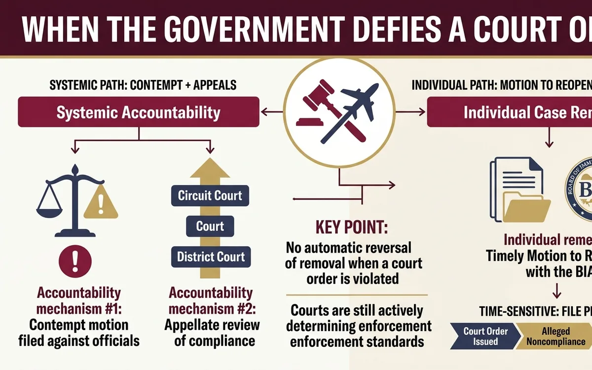 When the Government Defies a Court Order: Your Rights and Next Steps — infographic