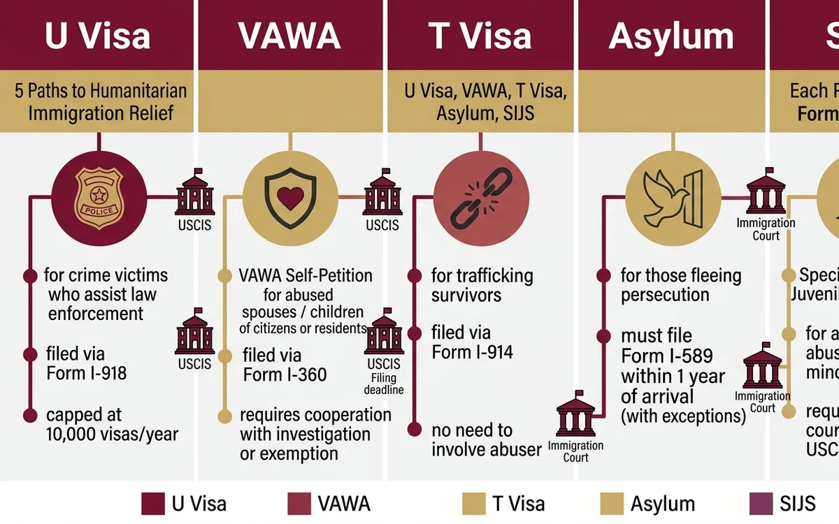 humanitarian immigration relief attorney — infographic